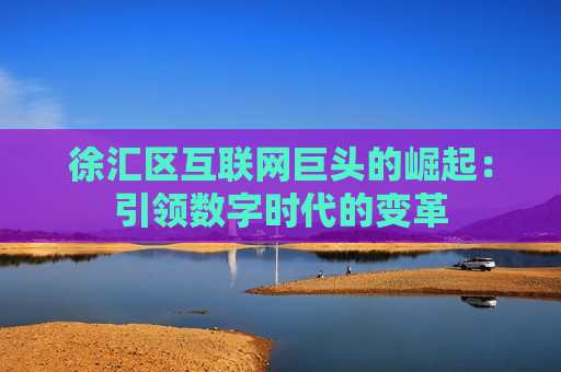 徐汇区互联网巨头的崛起：引领数字时代的变革