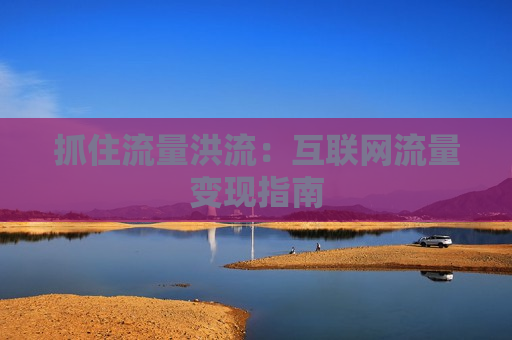 抓住流量洪流：互联网流量变现指南