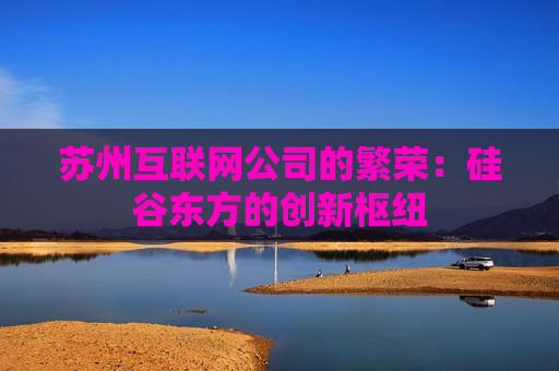 苏州互联网公司的繁荣：硅谷东方的创新枢纽