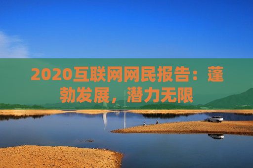 2020互联网网民报告：蓬勃发展，潜力无限