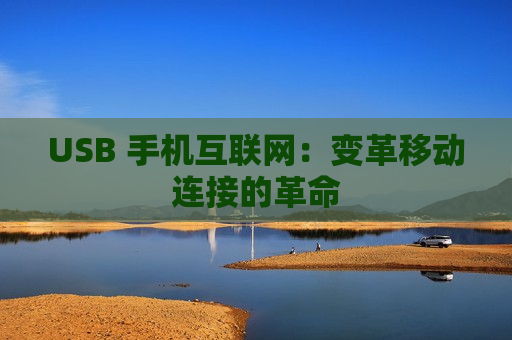 USB 手机互联网：变革移动连接的革命